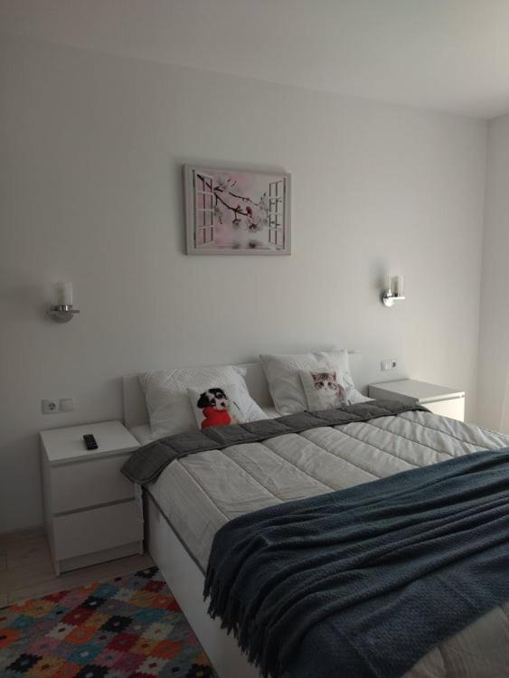 Belcara Apartment Buşteni Buitenkant foto