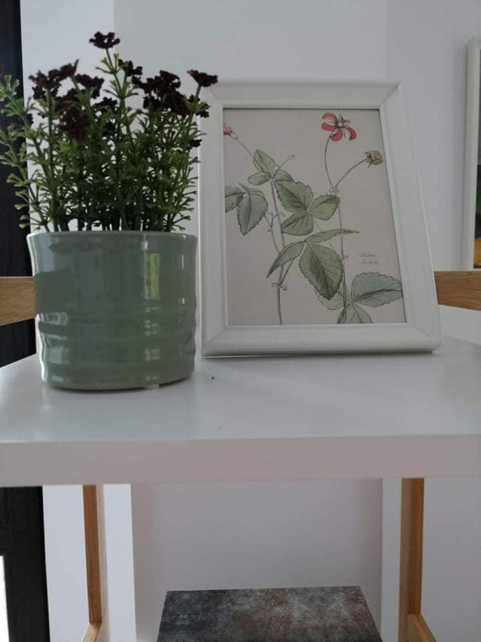 Belcara Apartment Buşteni Buitenkant foto