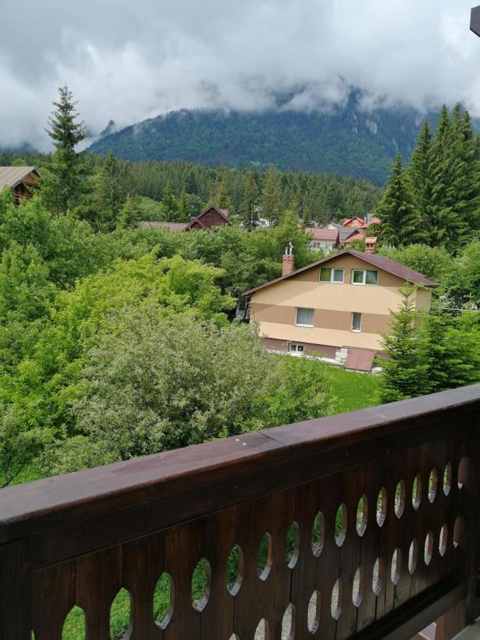 Belcara Apartment Buşteni Buitenkant foto