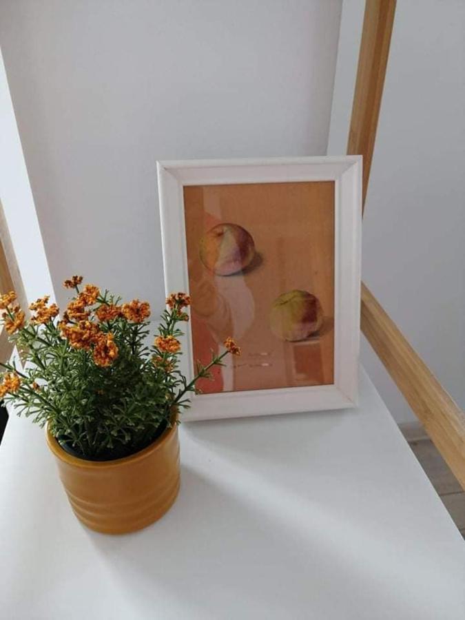 Belcara Apartment Buşteni Buitenkant foto