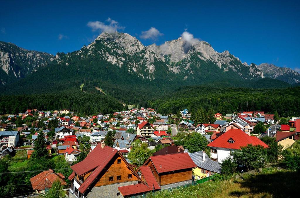 Belcara Apartment Buşteni Buitenkant foto